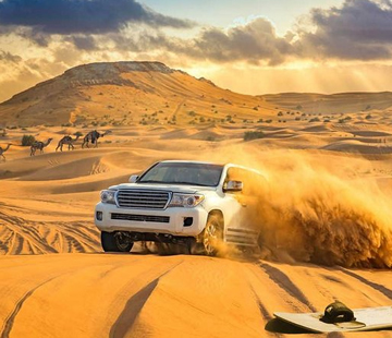 Desert Safari