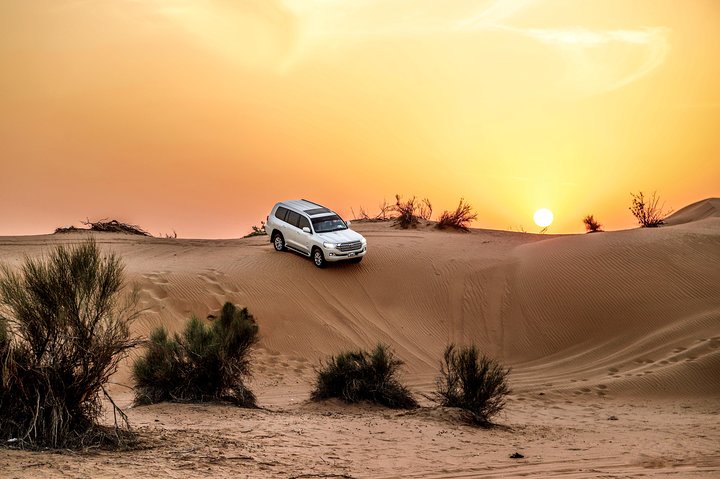 Evening Desert Safari