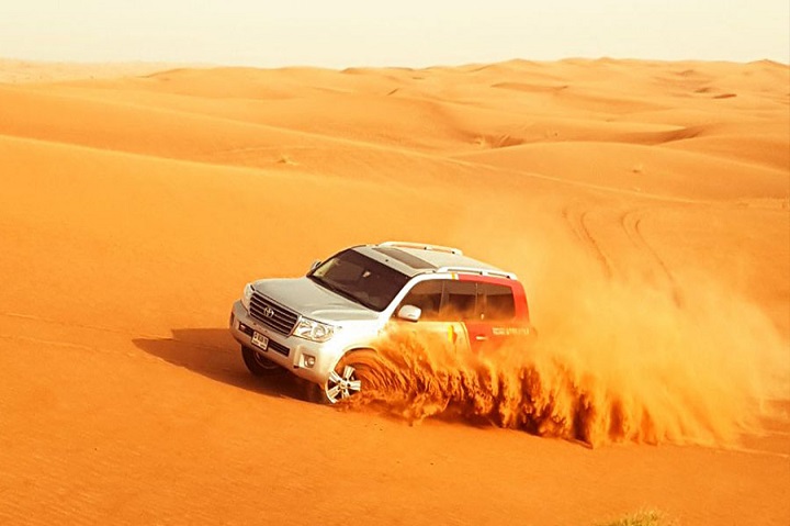 Morning Desert Safari 